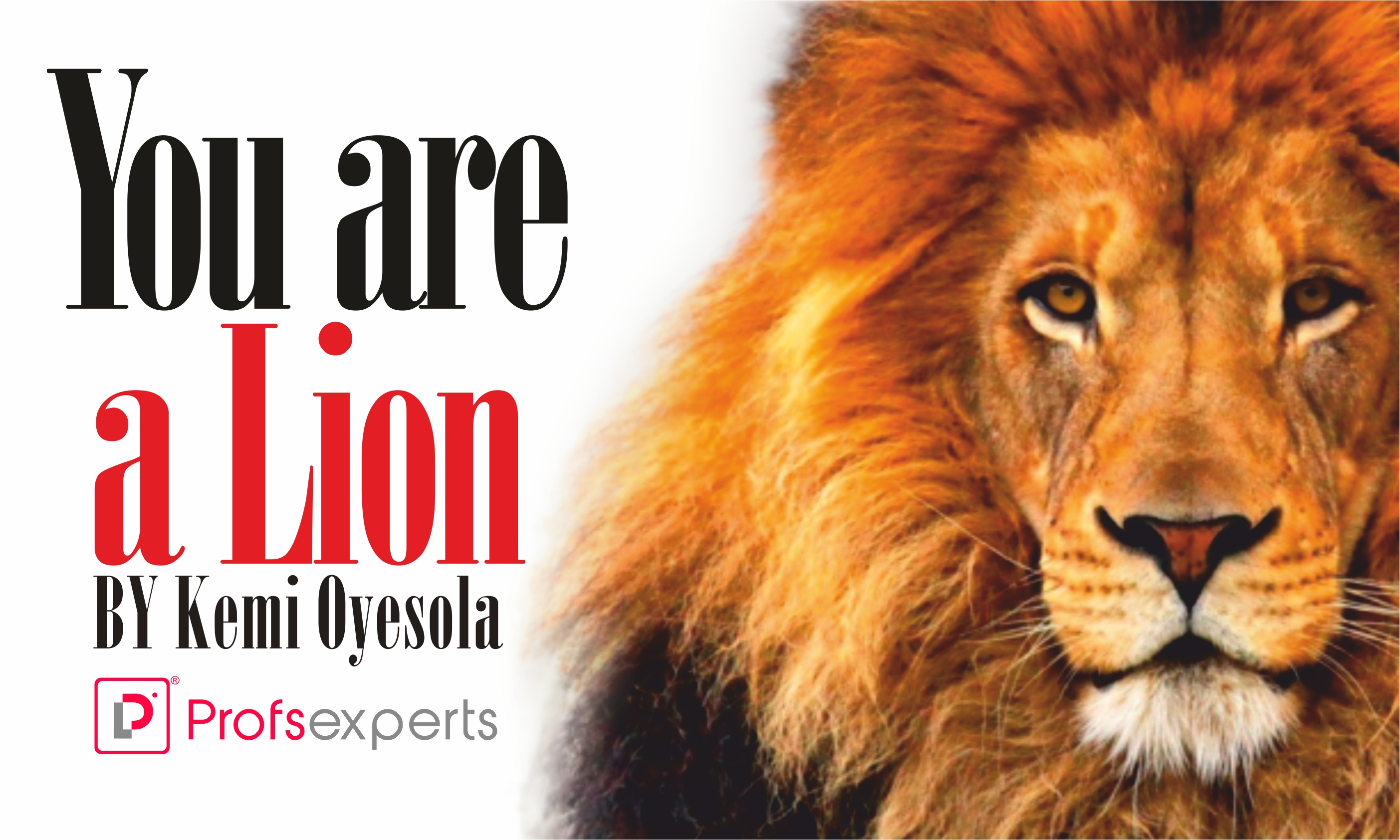 You Are A Lion – By Kemi Oyesola - Profsexperts